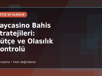 Vaycasino Bahis Stratejileri: Bütçe ve Olasılık Kontrolü kapak görseli